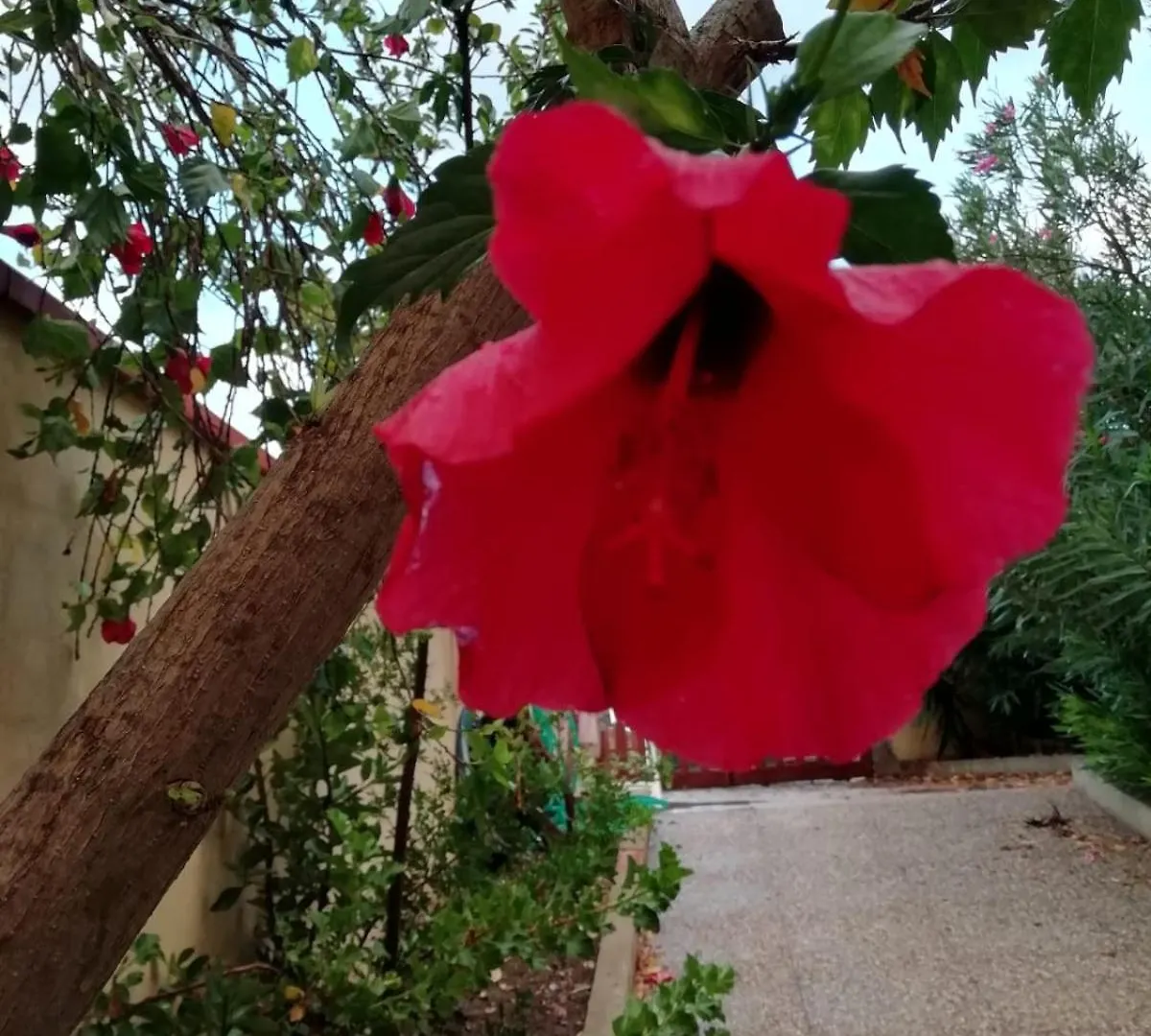 Casa Oleandro Apartment Funtana Meiga